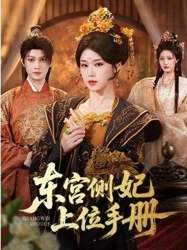 东宫侧妃上位手册
